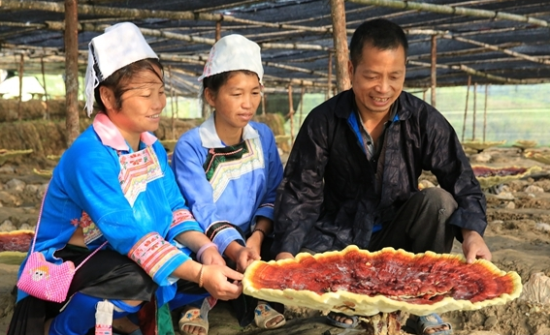 %FFKTI3ZE$VACKO4PR634W4