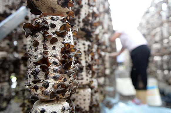 XDSYB(TITB8GOWMFNG28X%D