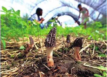 1%%H(9@_Z599YB1Z[UYLG1Y