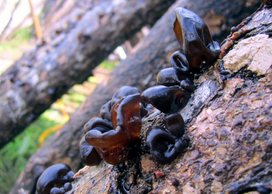 PIN$2JF_WNWPPAS1O98K3)U