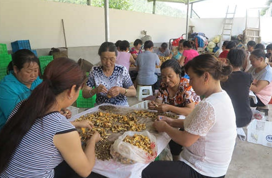 }K0~GCK]MFYC{`XD7IMPD1Q