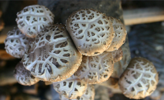 5)DN)VJTJ0SNU$GJ4%ZZ[~M