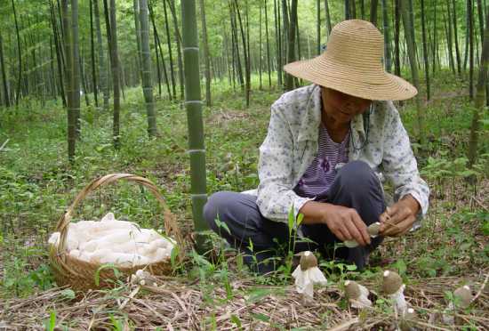 JEDKN$$T`D8TS[]RY1Y@C]C