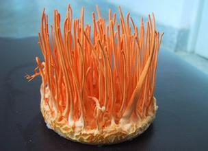 u=3142402509,2282642280&fm=21&gp=0