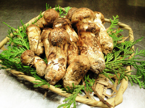 wKgBpU4cPs_g7hWOAAYgN5Hpt7w79.rbook.w600