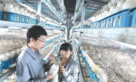 DCKUX(S%E]~O7@~U6]DEH2K