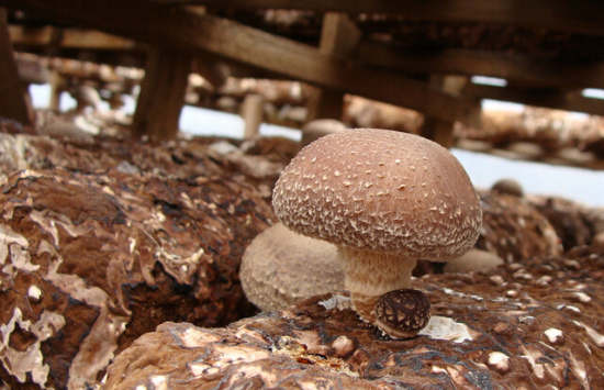 [HE0O[7V]YCT7K18EAWT1TR