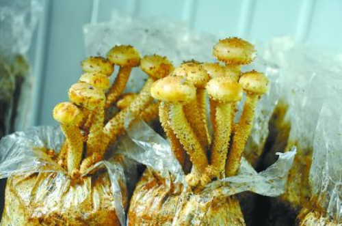 R}1}JU6(C[VKQ45Z]V[N)ER