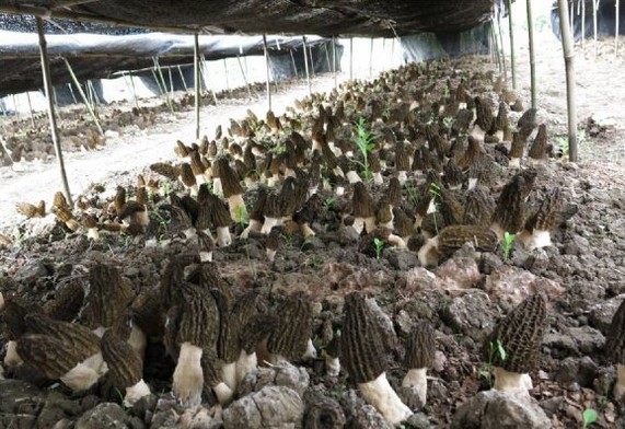 20140126103355_40519