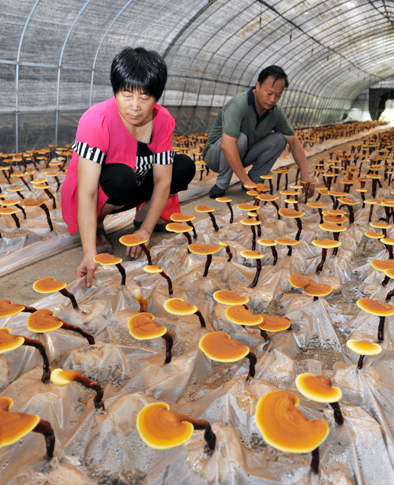 4VZJS3{2_)EAW[6)8UWO6$9