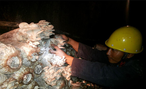 DZ(31X@PI28@~`)$VL53Z1X