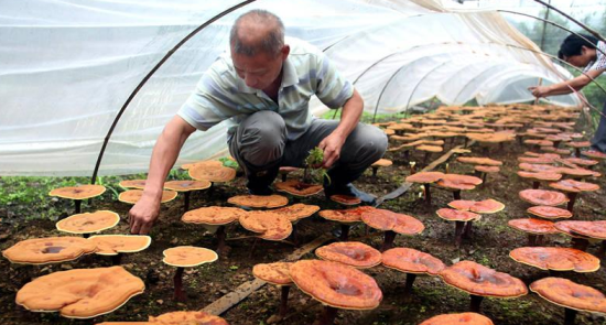 `}B_3Z1L(TGFVC]B5DG)FVT