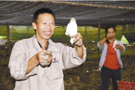 CO@C{S0]6)P0RA2XLXL(B[8