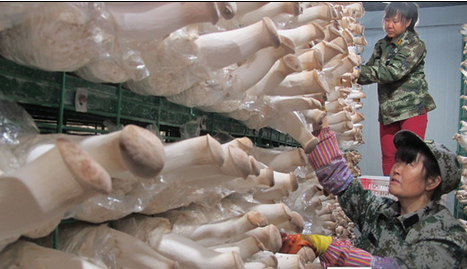 M5{~DL][A8N[B`G[N]FD$TP