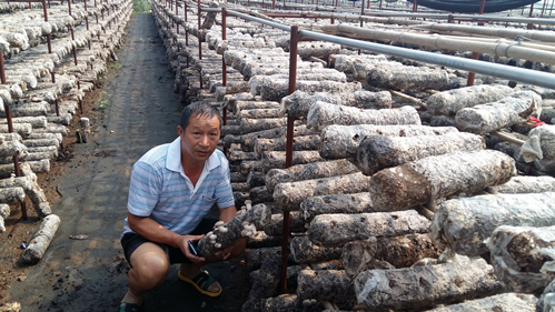 1116395796_14406652911491n