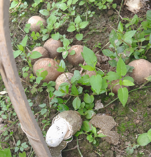 8C{DD%I@%_YDK}7OHMI0C71