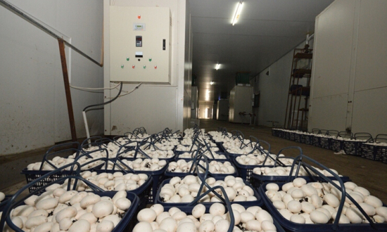 ~WYT907D_W90I_IM{E08IGN