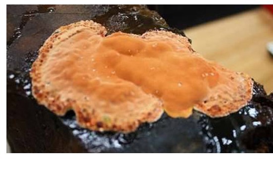 40_543802_6c1204859e352a9