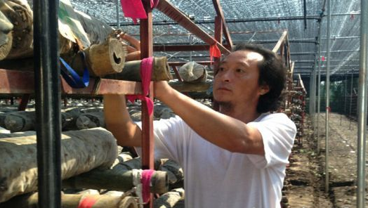 JW_834V@7J}ZWN3NRWZ6YD4