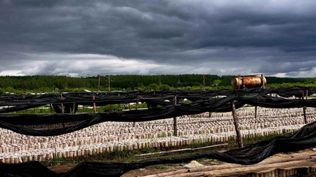 xin_543060626122576505364