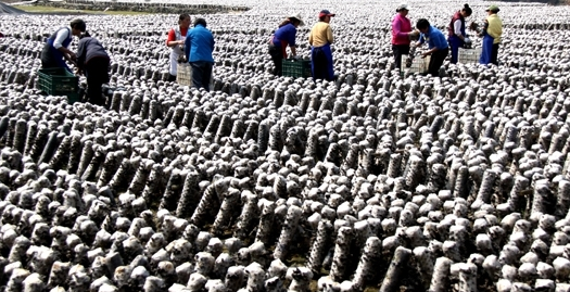 EX$5CAB3200JTR`(0MK0@J