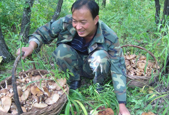 [B8)[$47LP6E2D@K6J3_VO7