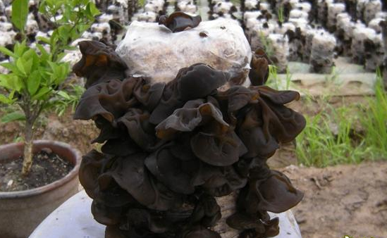 S_CMD80(UP0WS4TT{X$%M`Y