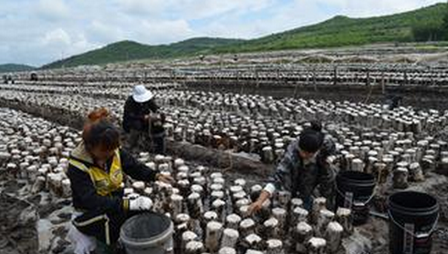 {6K6W9XN9VSEG@J9NMWHDDD