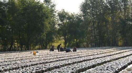 6LY~ZAD}58NCS]FKLP4Q]4S