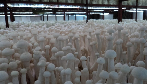 FXFU(660$YQ(UPB}QL_I2MP