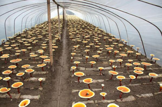 mp35020425_1444481517400_2