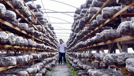 J0J{J)VEQU}C9ELAKJWYWSH