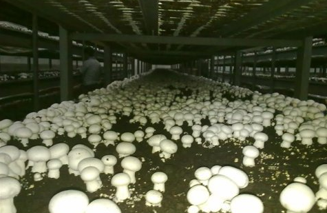 G1(N3~O[S)OY~4@2~V}JU0Z