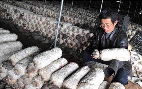 YE6U_32WDUSWL52IF45E@4G