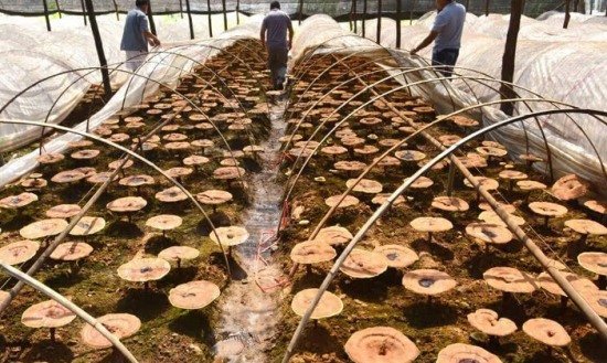 D(6EVQH(`U[}UVL9]$NYW4L