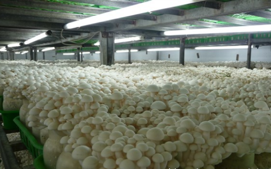 ~`9CJ71U1T{8HPE}IHN@9(1