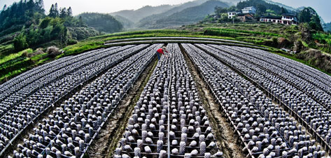 _61}73J_GA9[U05G57ND3]E