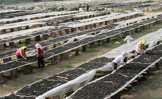 small_news_0.784148071792046