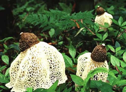 20140518093018_30983