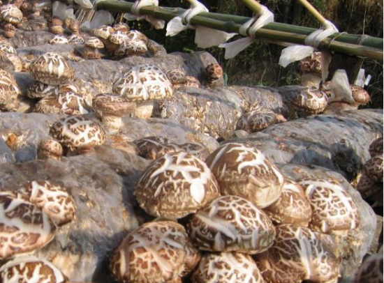 FUXW]N6A`TD8TFS08W}9N$F