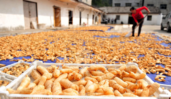 `19H%7__$1$R{N_%Z{9QH7W