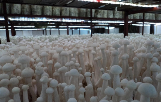 {P0JRUWQLC4EL8$97UOZLPO