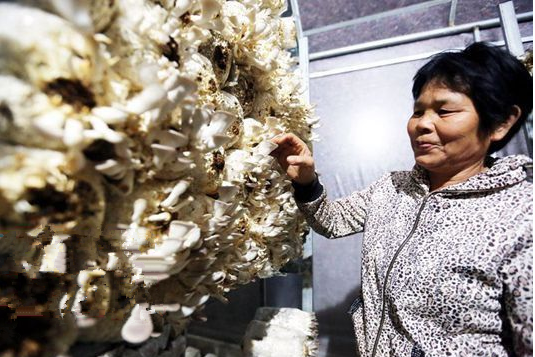 A%@YP9D3K95O)7ZX1WJFA2N