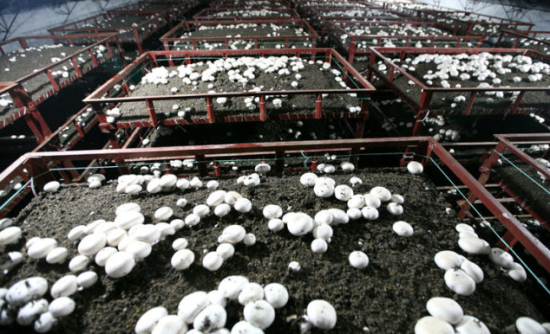 UMG[Q[7@W@BEL~`5QIQPBUE