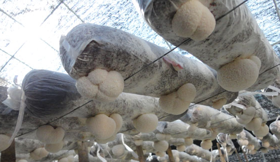 4X2)6M$7N~])POOT([1`340