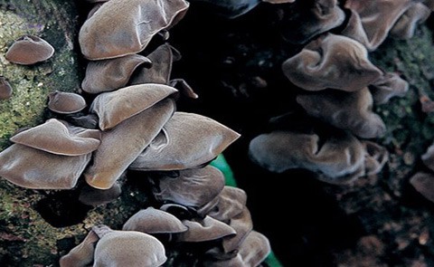 57180a165f16eb780196038d1c4c5fa6_source