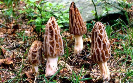 EYJ3FG7]%Y$_%`]MP[2@X1M