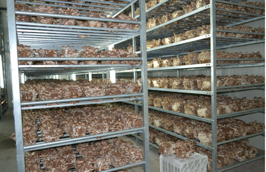 )BIJ0)%[{5I[_76Q`QR0S}9