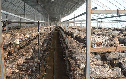 FQ~ZK@F)I@GI}A8IK6~L_Y8