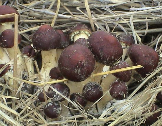 QQ截图20121214104438